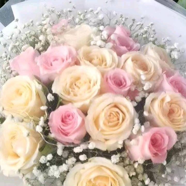 芳芳