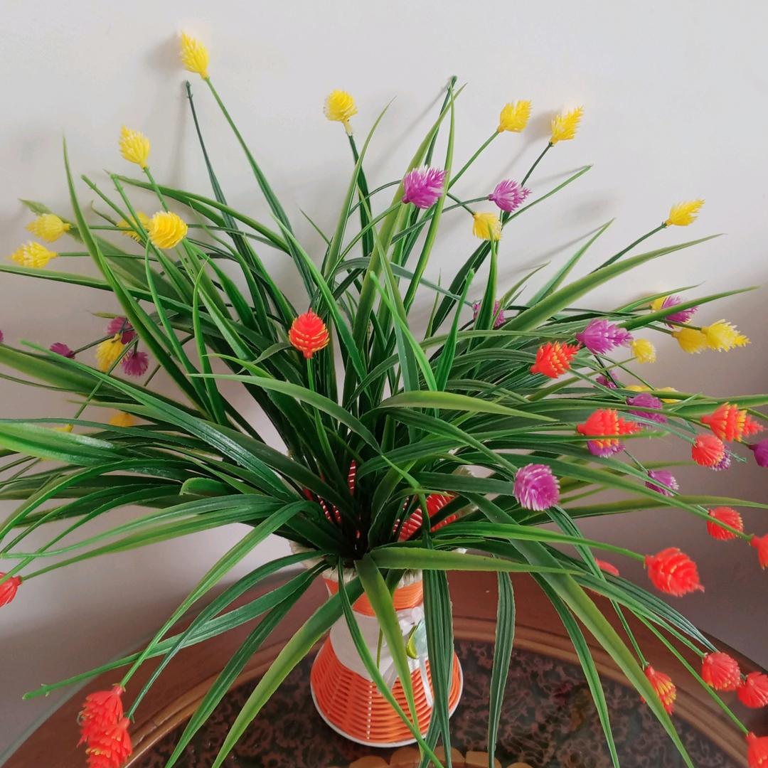 陌上花开