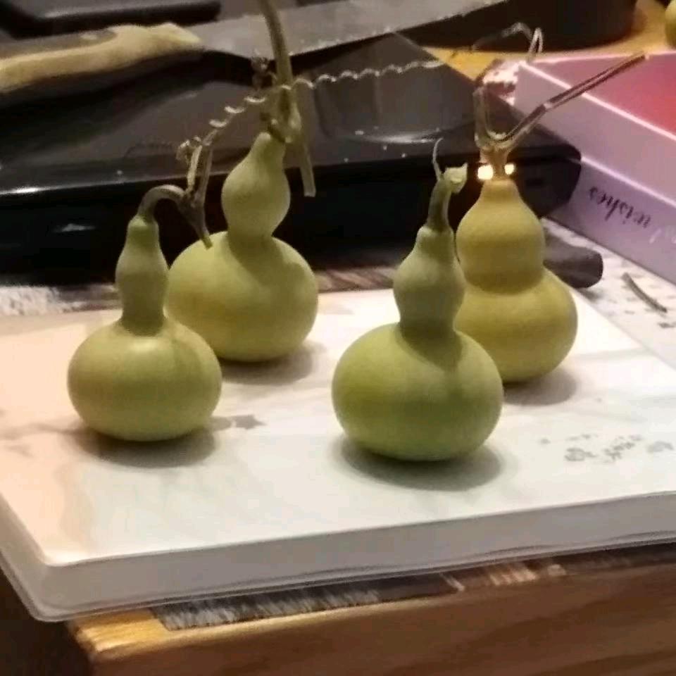 城市猎人