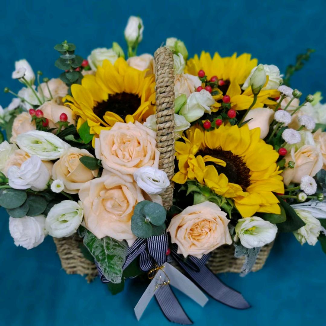 ZHao(❤ε❤)稳稳的幸福