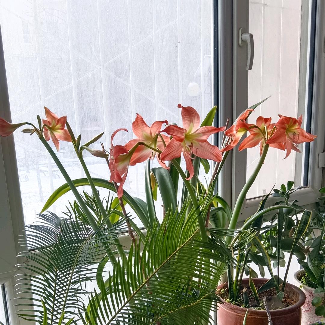 游戏一生。胜强