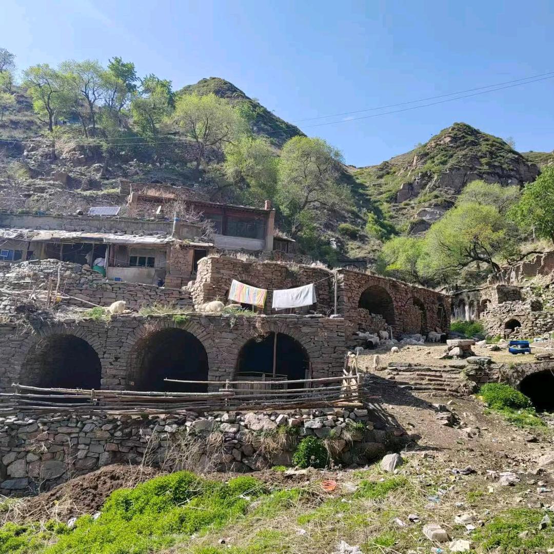 没素质的靖哥哥