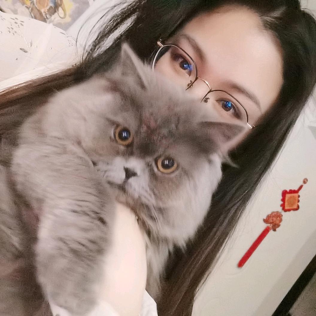 喵之大一锅炖不下