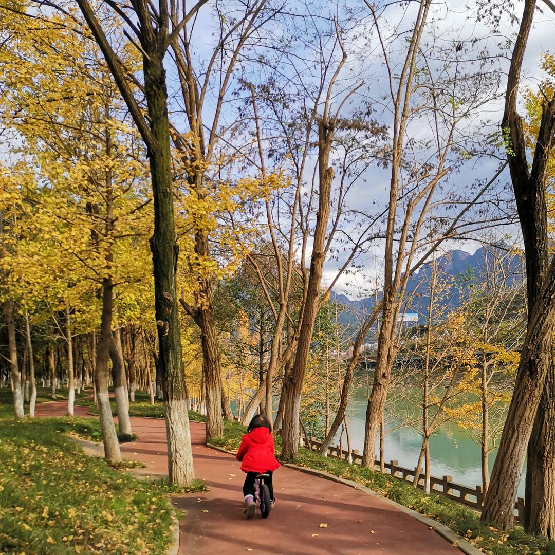 平凡日子里的光