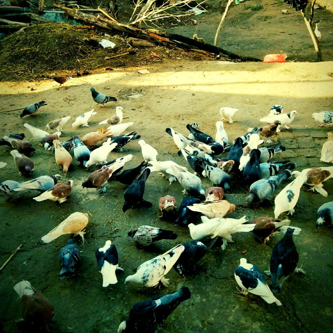 🌐嗯，比LAL🇨🇳