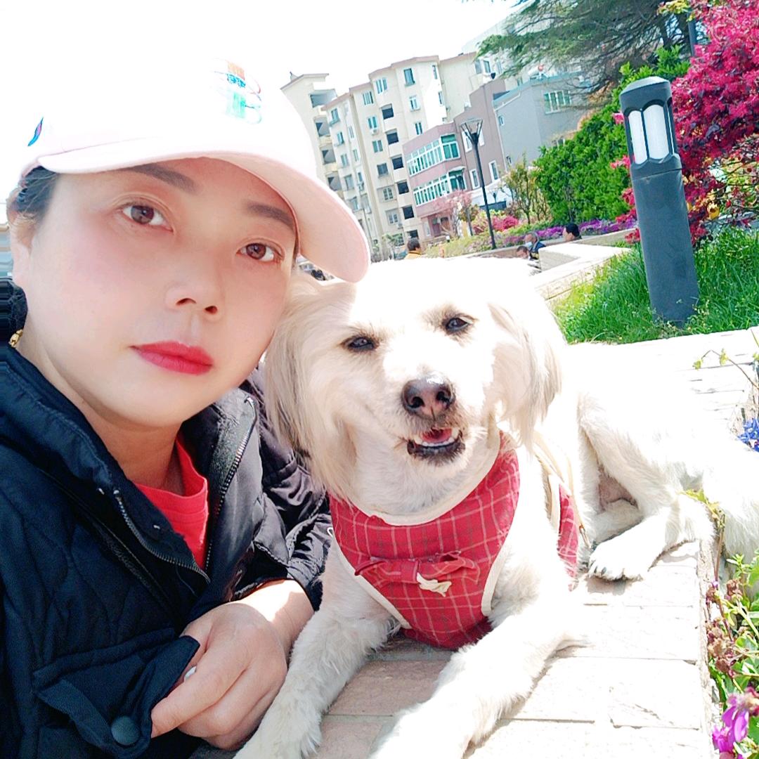 孤独的小鸟