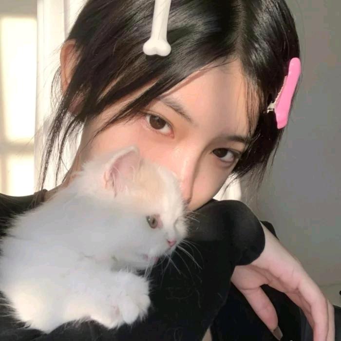 豆豆爱生活