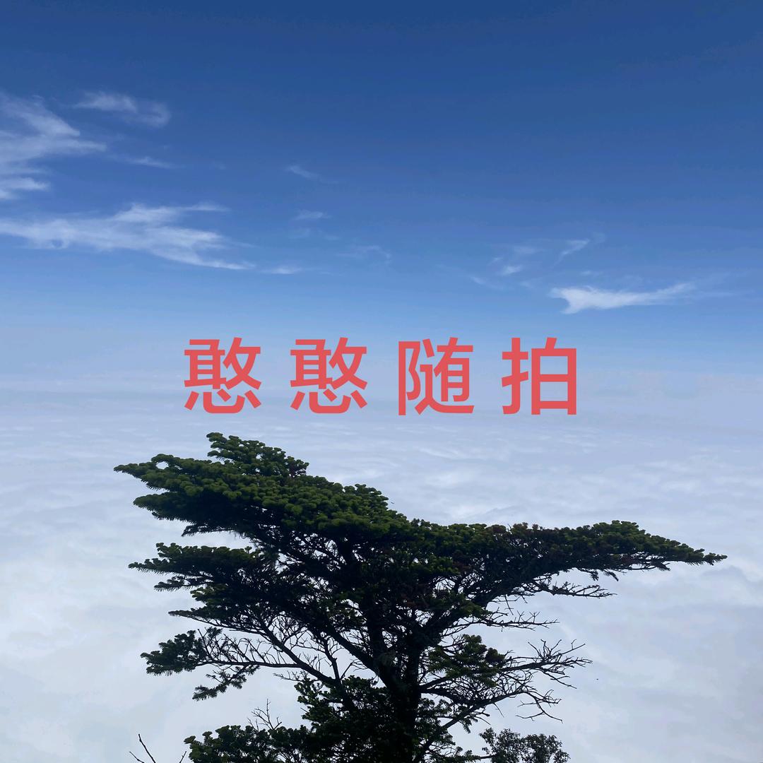 憨憨随拍