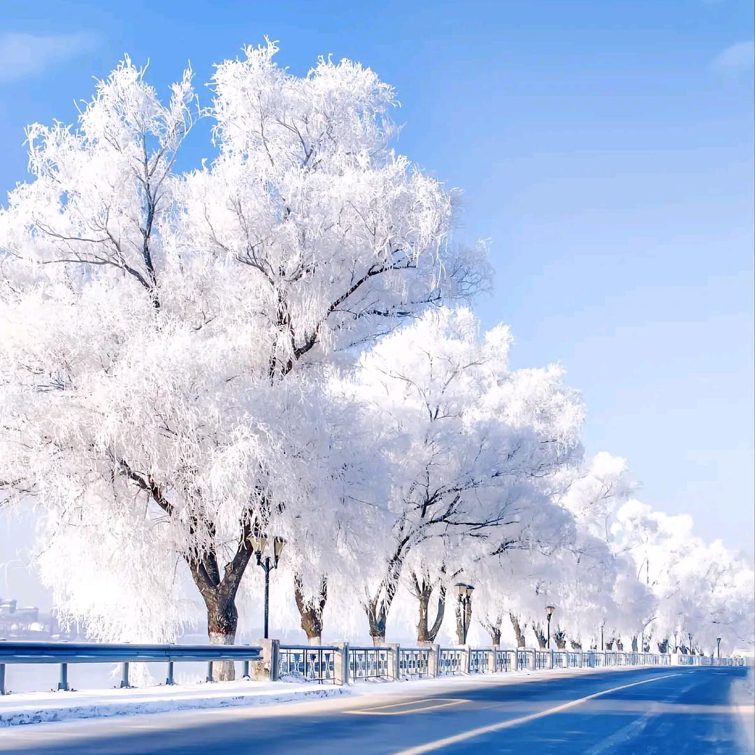 雪叔