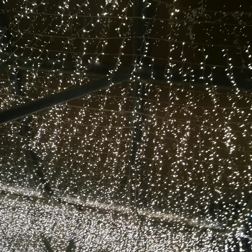 暮雨而桐