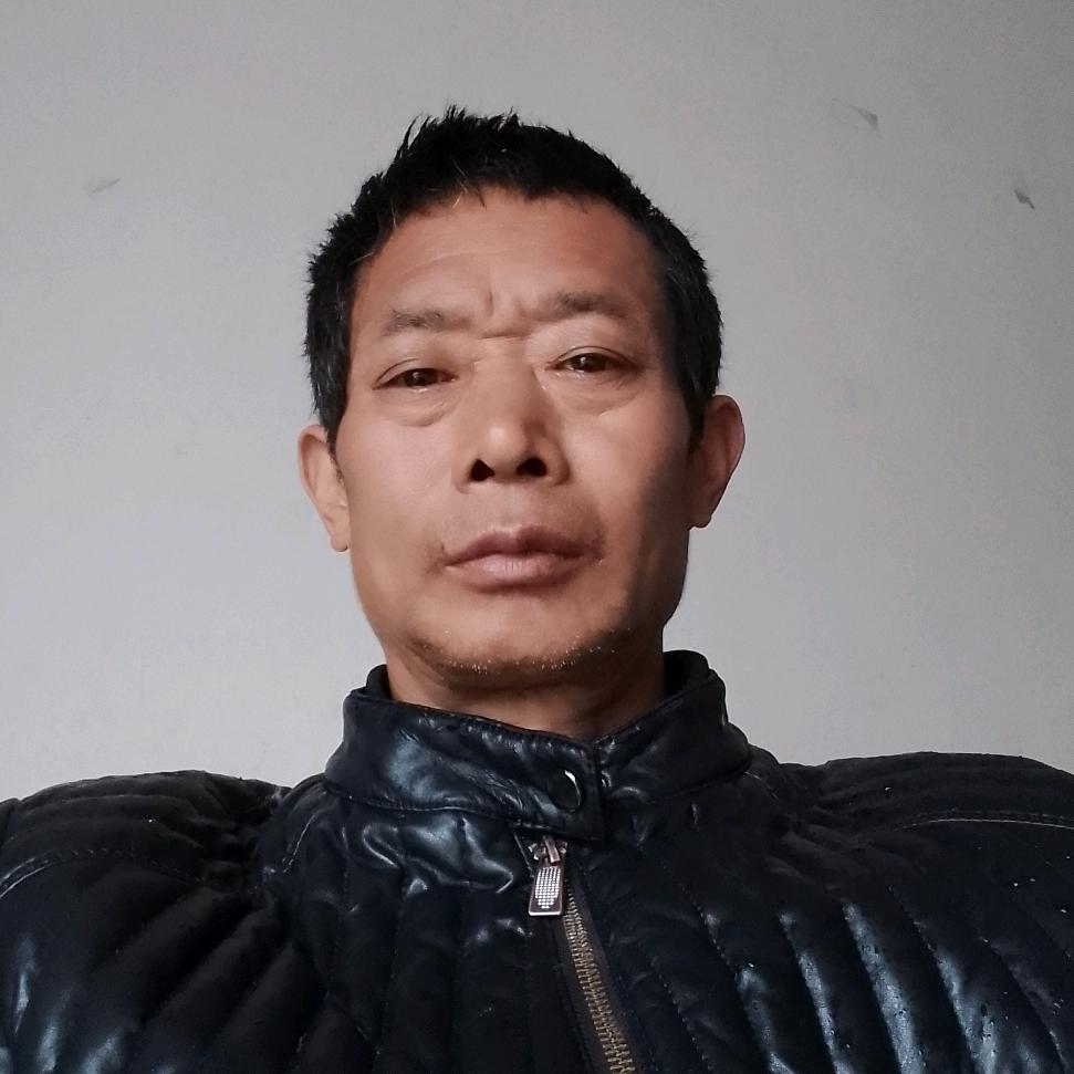 年年真好