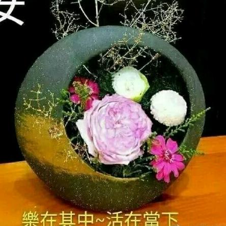 用户4388392787935