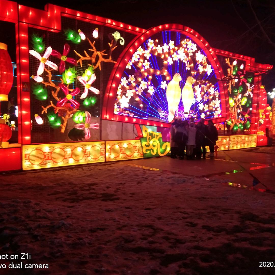 忠义虎哥🐅🐅