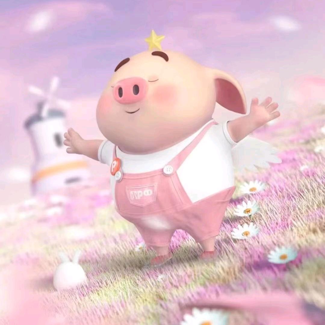 儿童服饰－万江嘉荣小猪