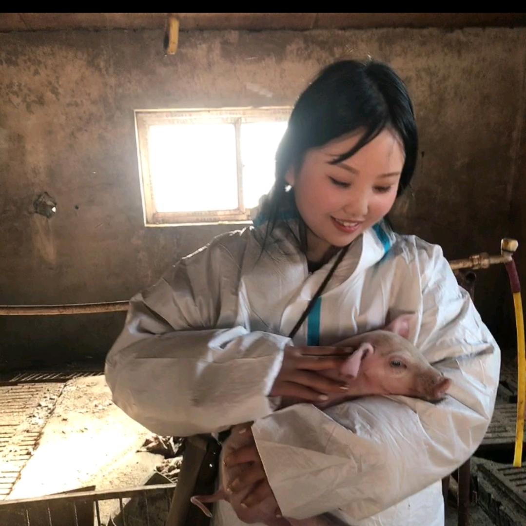 小田聊猪病