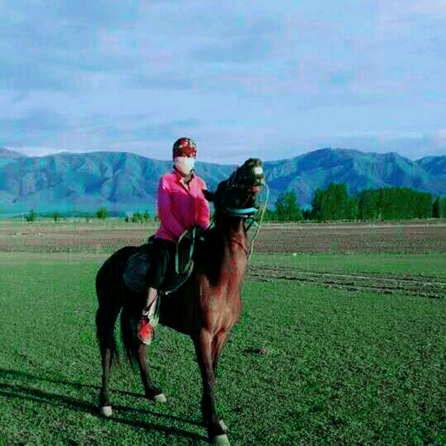 🐴快乐天使🐴