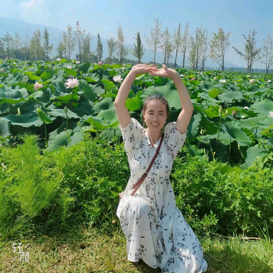 梅子家自用推荐