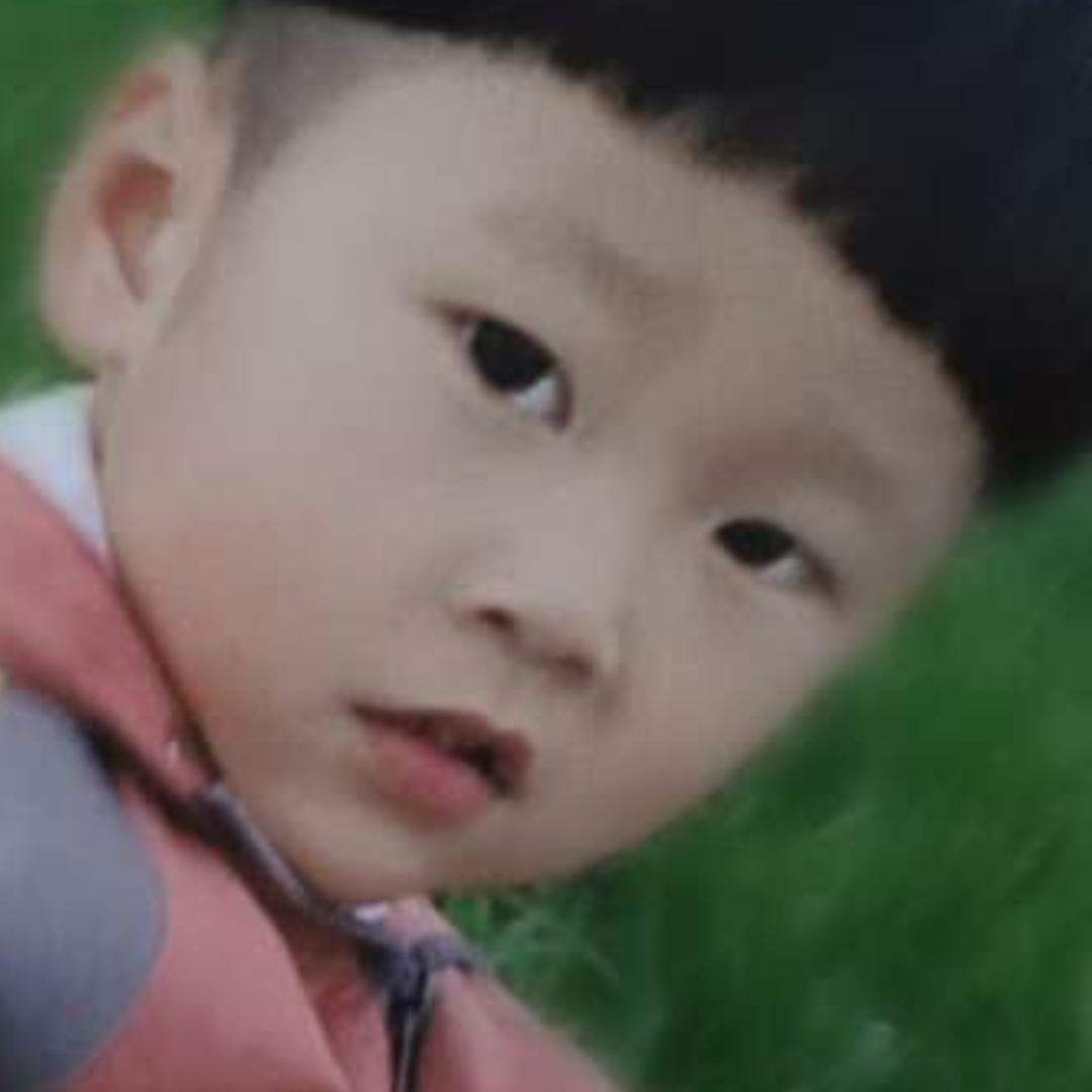 淡定人生