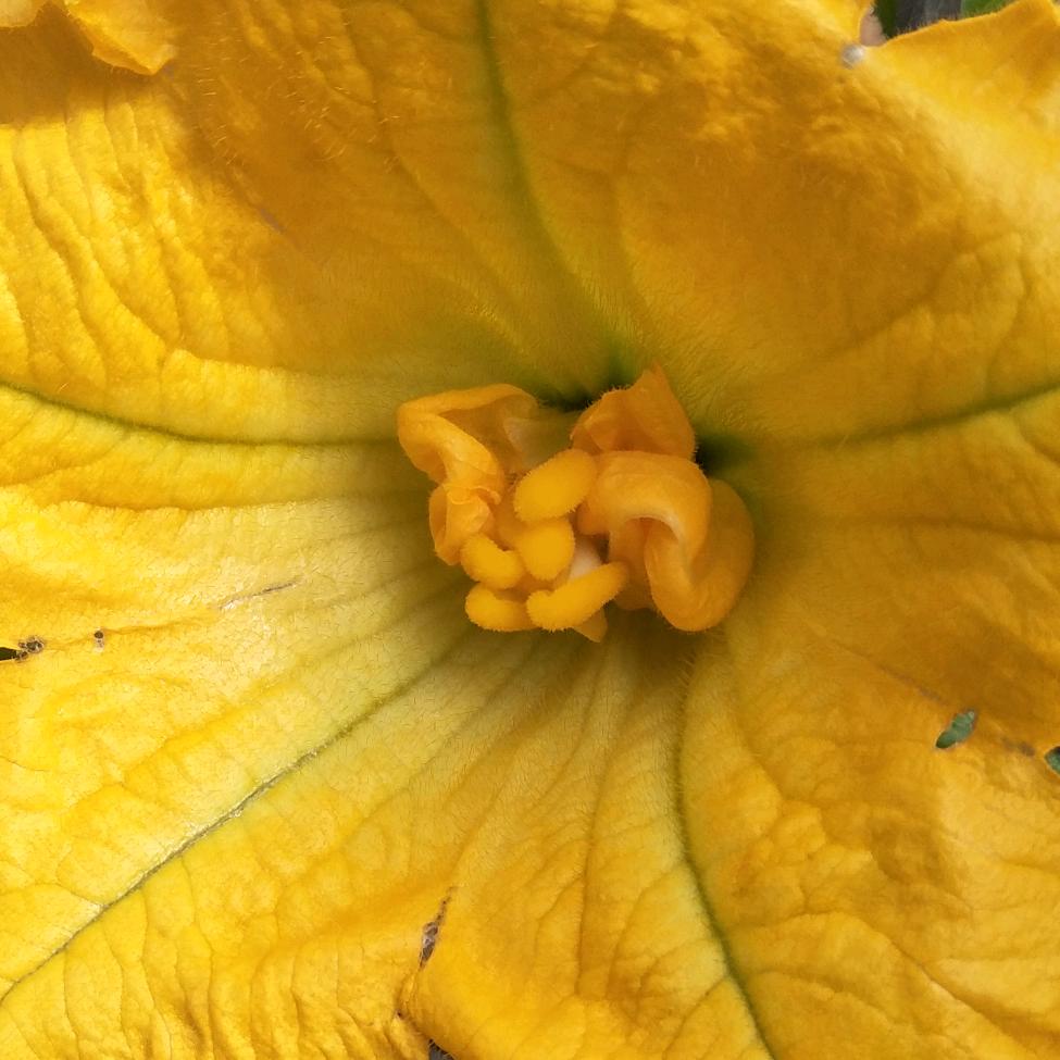 活一天，努力一天