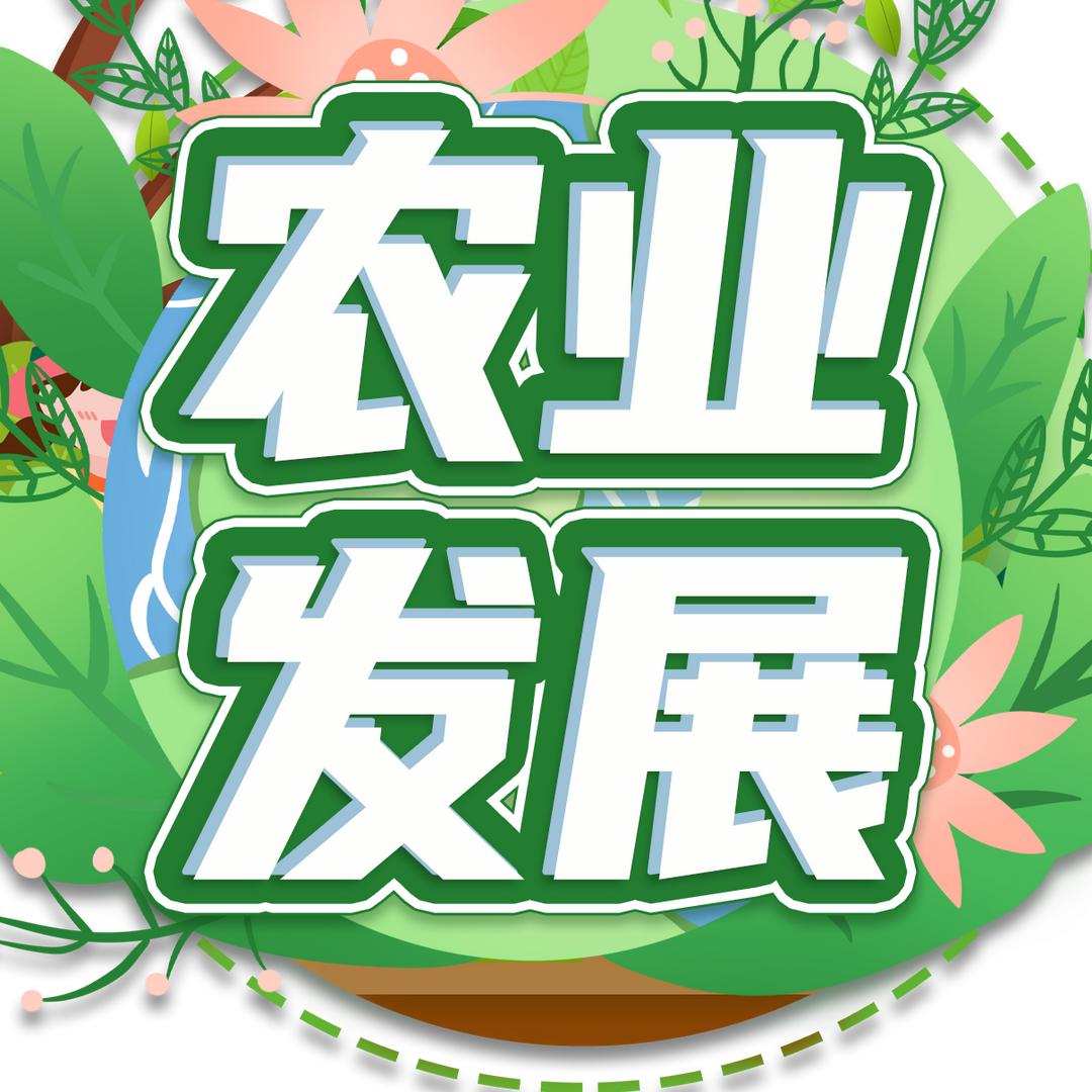 农业发展方向