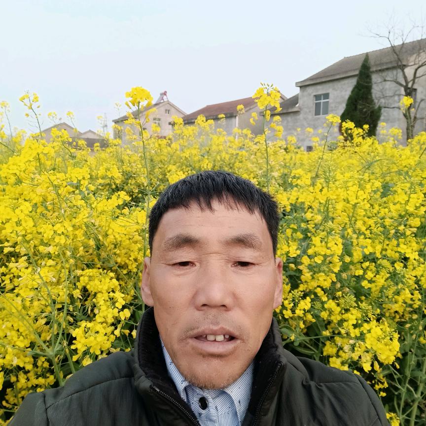 孤独在外