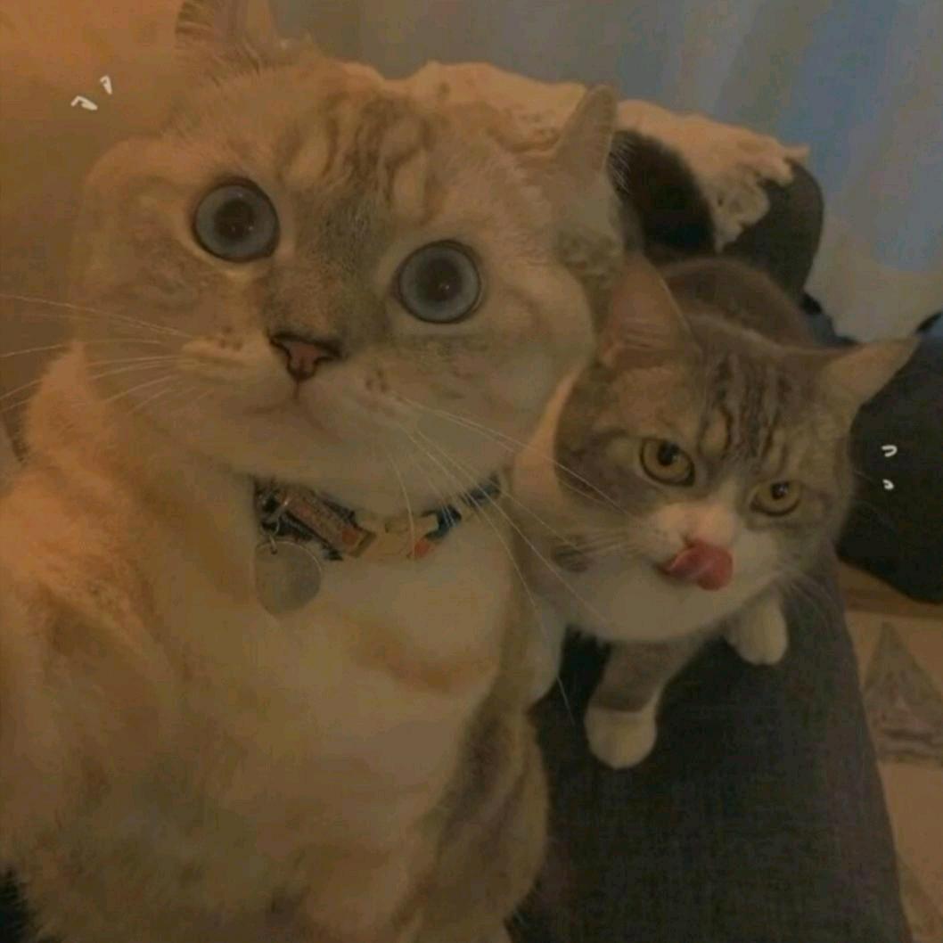 时光毁了少年梦