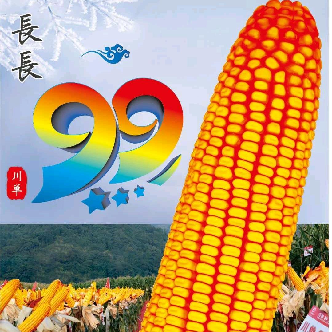 朱国宁