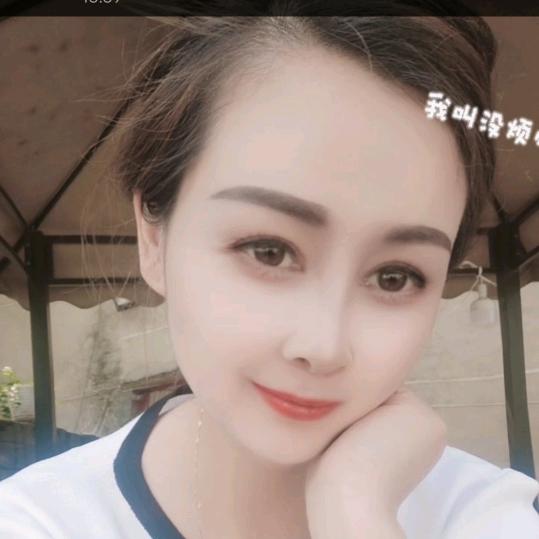 鲁山县，四棵树乡，张沟村66号酱焖鸡