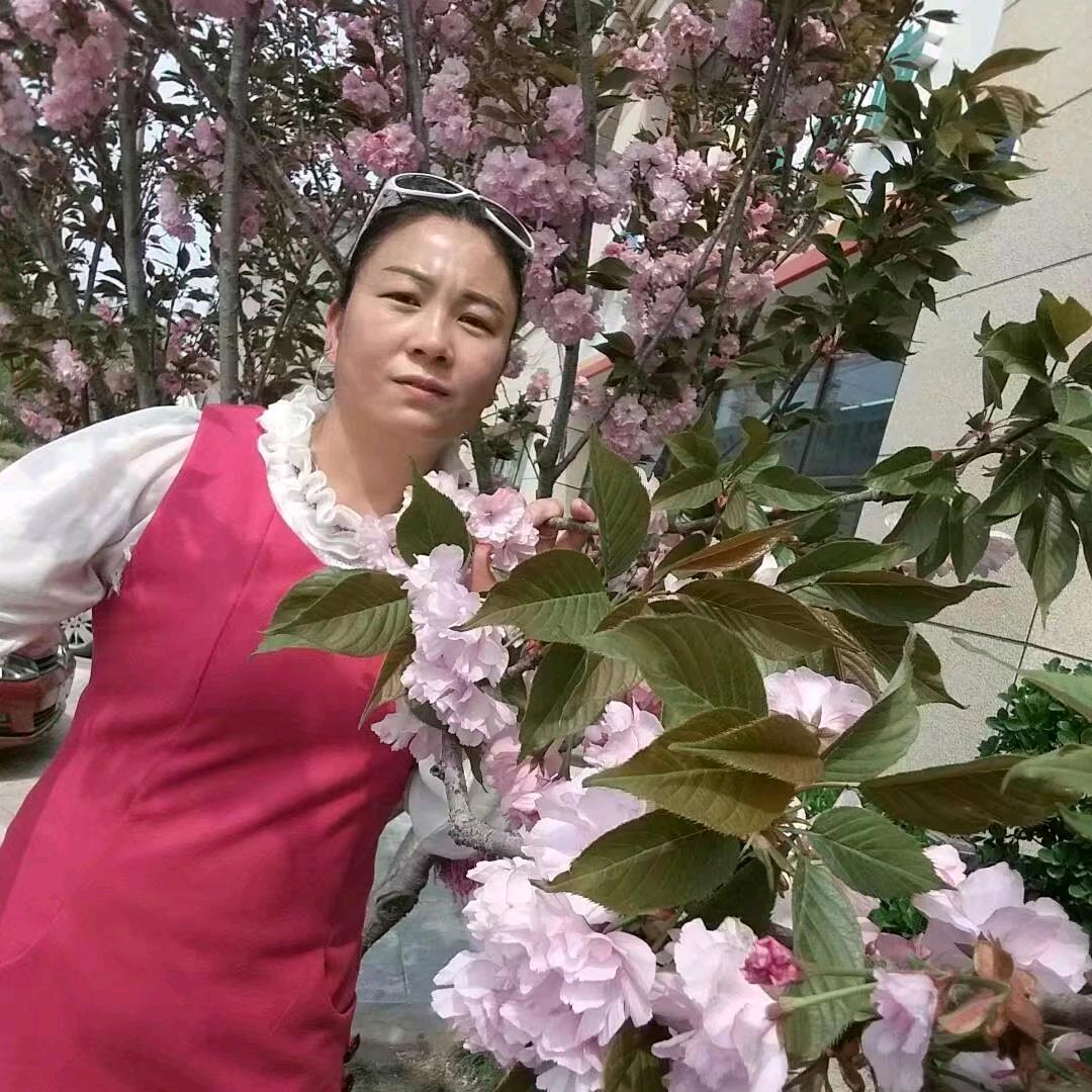 过往云烟