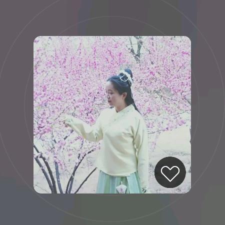 小二毛