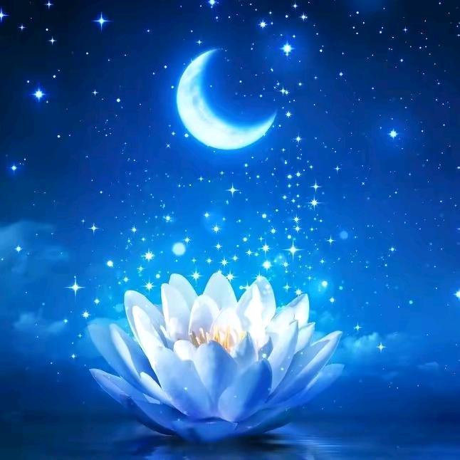 能力适度，人品优先！