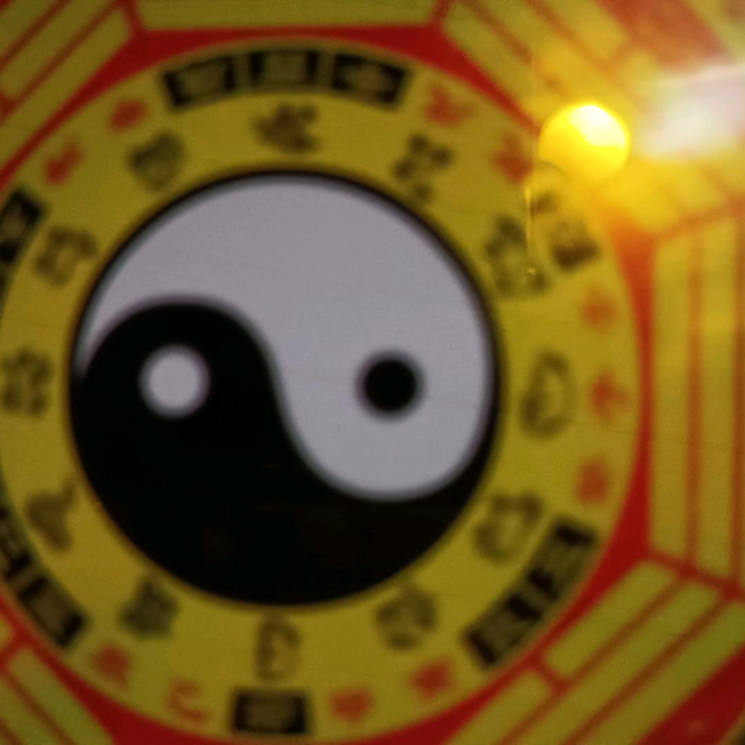 你不懂，我不懂，也要装懂