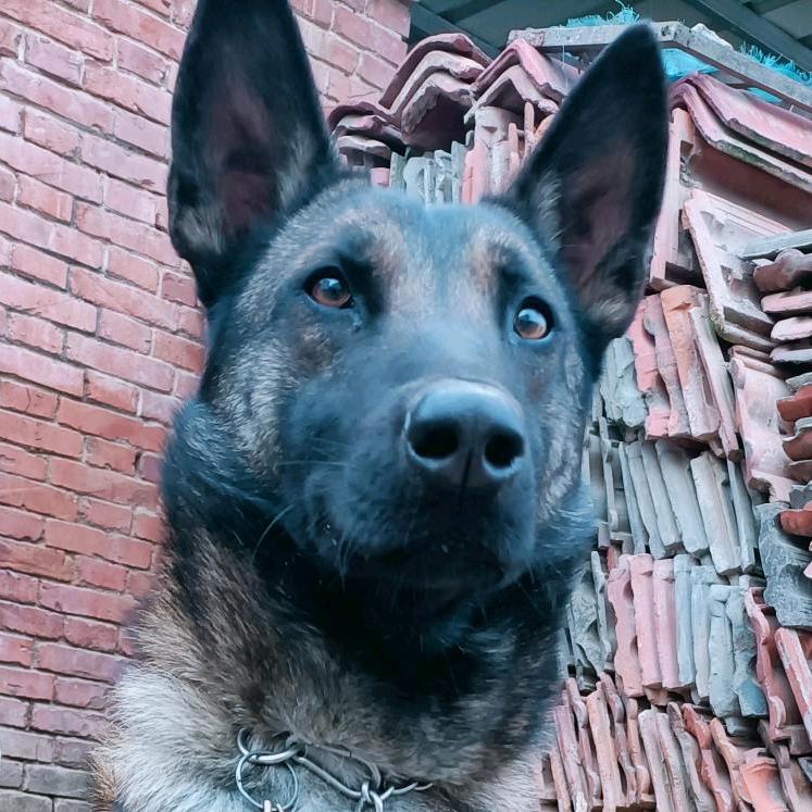 二狗子的朋友圈