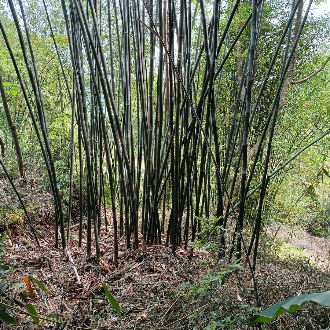 过好一天