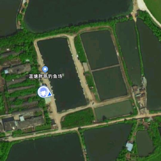 温塘胖哥钓鱼场