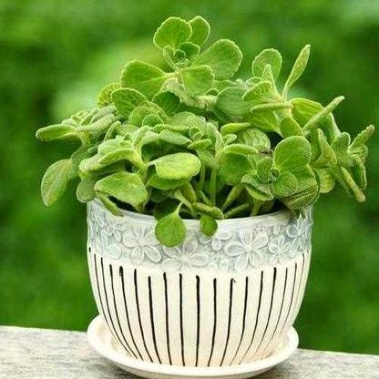 🌈宇灏麻麻🌈