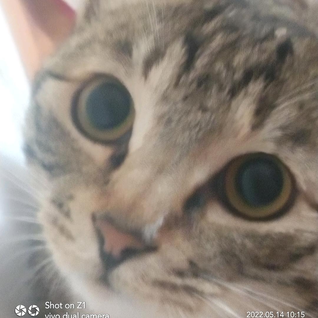 随缘吧.