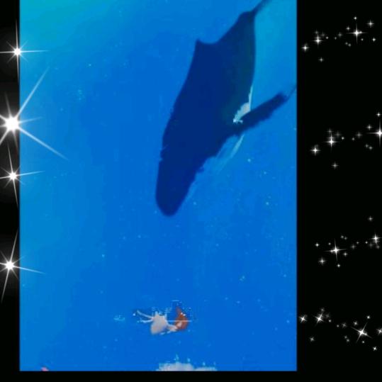 小路.用户4168120601749