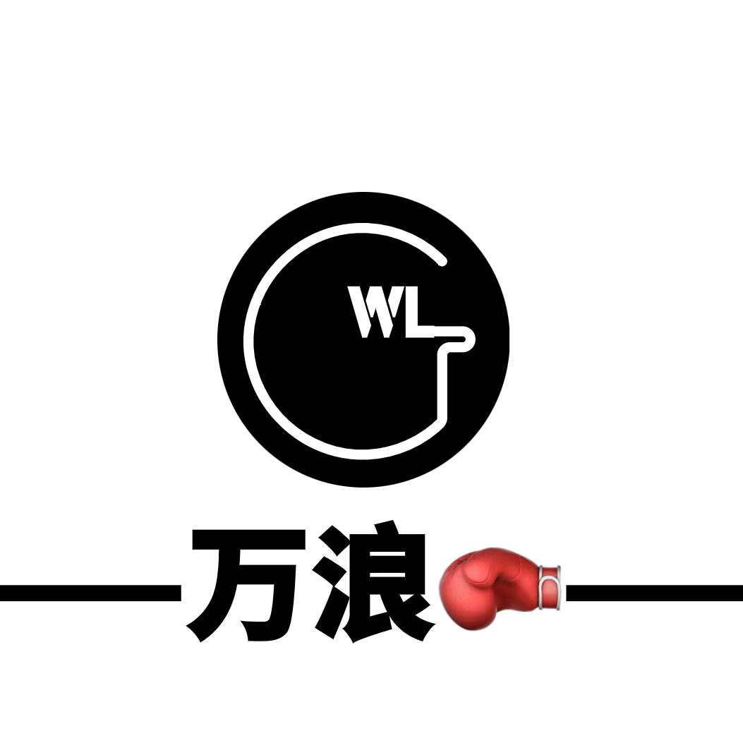 万浪拳击 李美