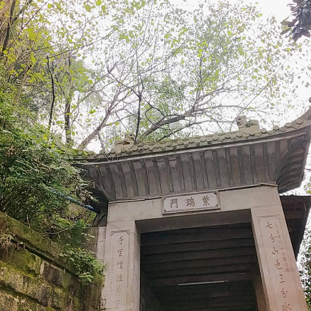 魂舞九天头像