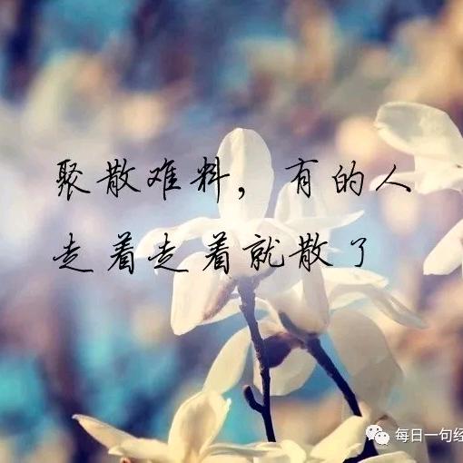 阿&飞