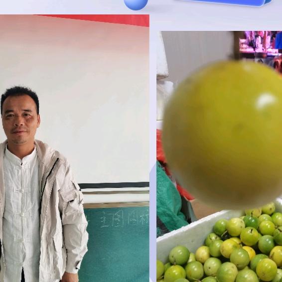 贵州村超杰叔百香果