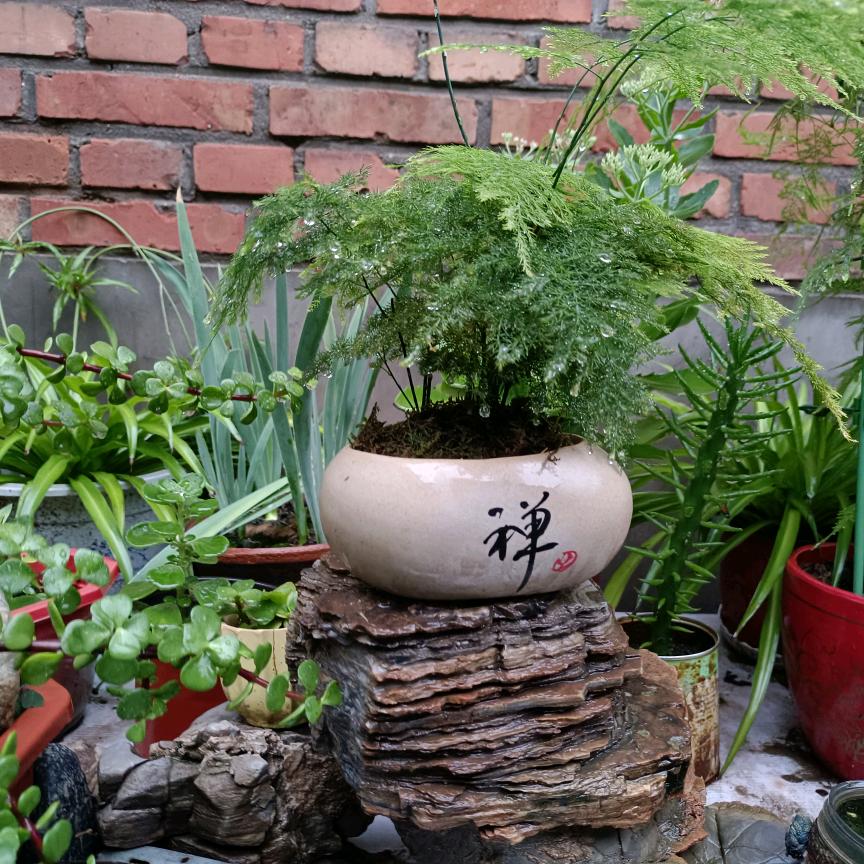 书茶小筑