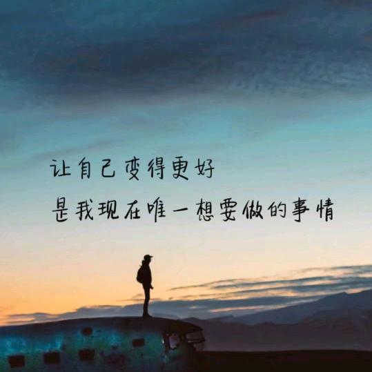 河南臻弘新材料塑料增韧剂增刚定型剂抗磨剂