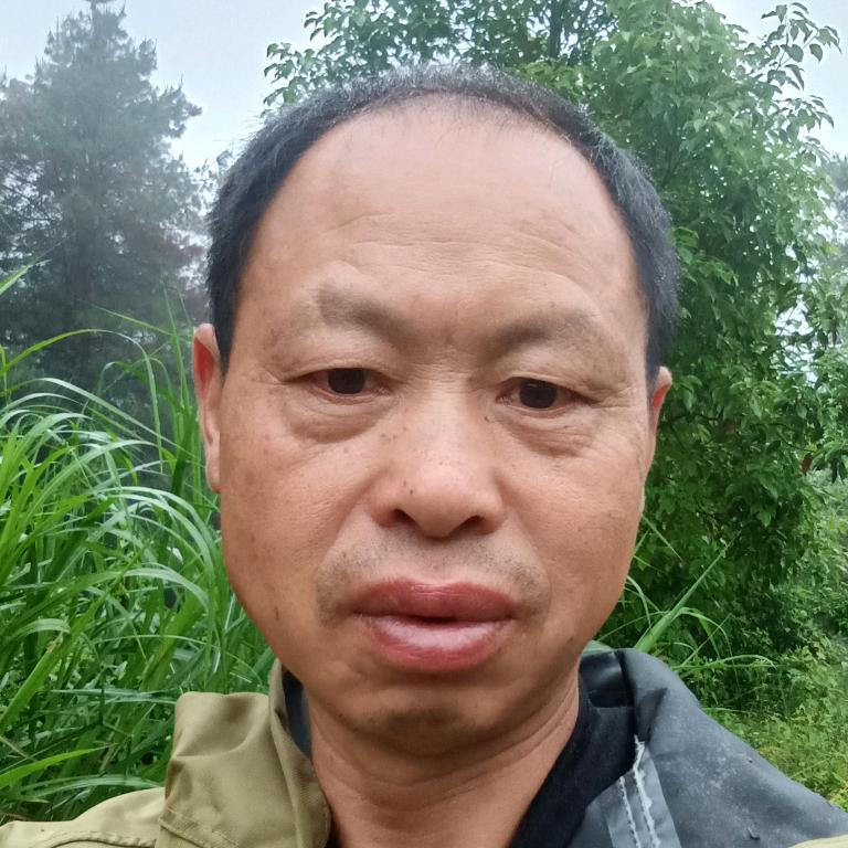 猪跑鱼跃