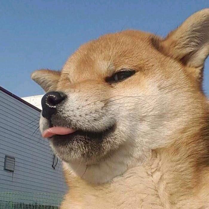 搞笑小二