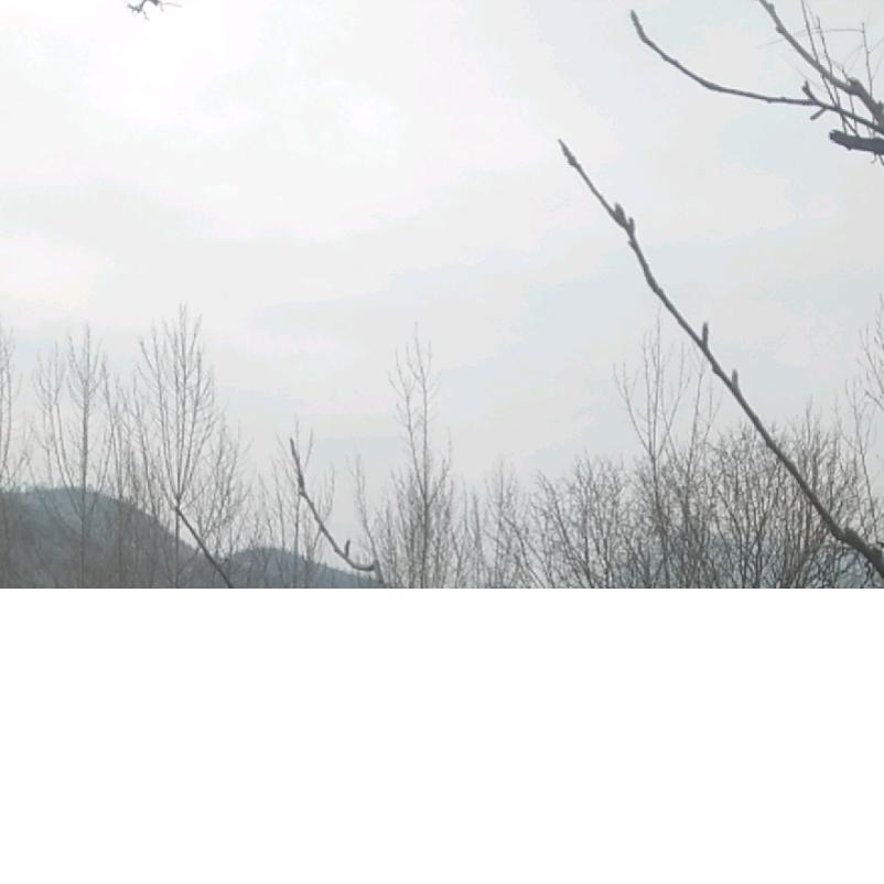 千百度
