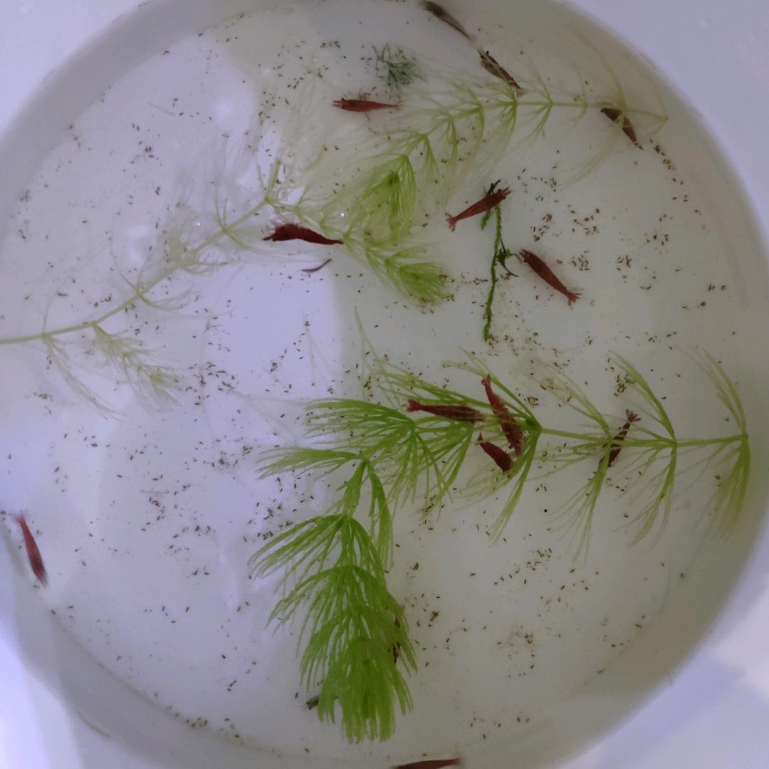 工程师