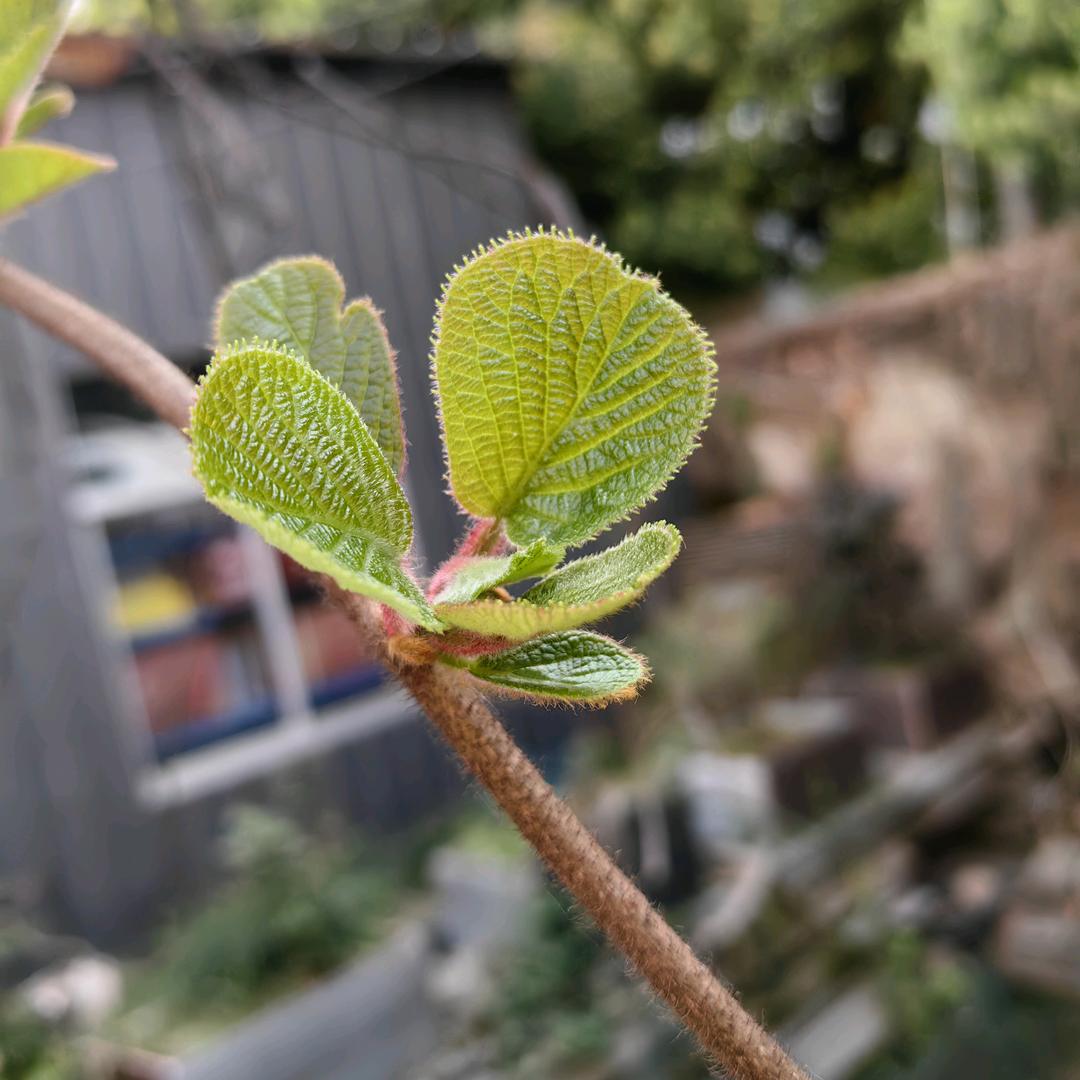 小哥爱钓鱼
