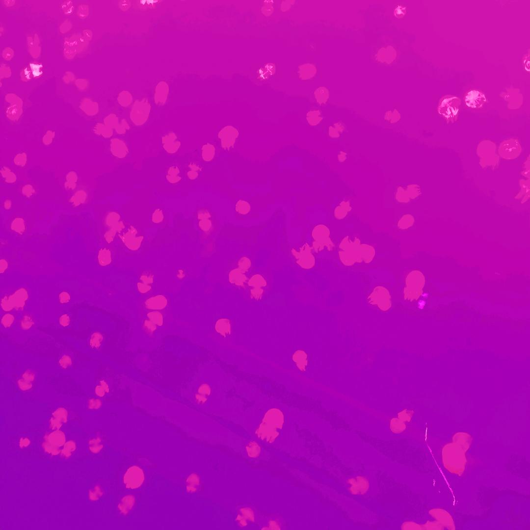 简单快乐就是我